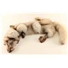 Image 1 : Silver Fox Pelt