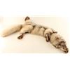 Image 2 : Silver Fox Pelt
