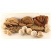 Image 1 : Lot of Baseball Mitts & Balls