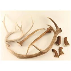 Large Lot of Antlers