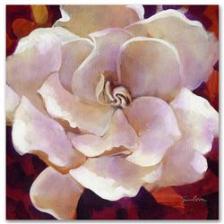 Gardenia by Bull, Simon