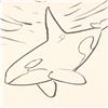 Image 2 : Wyland, "Orca" Framed Original Sketch, Hand Signed with Certificate of Authenticity.