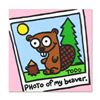 Image 1 : Todd Goldman, "Beaver" Original Acrylic Painting on Gallery Wrapped Canvas, Hand Signed with Certifi