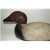 Image 2 : CANVASBACK DRAKE DECOY