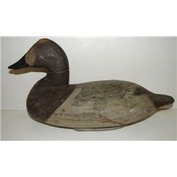 UPPER BAY, MARYLAND CANVASBACK HEN DECOY