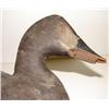 Image 3 : UPPER BAY, MARYLAND CANVASBACK HEN DECOY