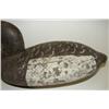 Image 3 : CANVASBACK HEN DECOY