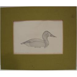 DAN BROWN PRINT OF WARD DECOY