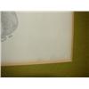 Image 3 : DAN BROWN PRINT OF WARD DECOY