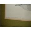 Image 4 : DAN BROWN PRINT OF WARD DECOY