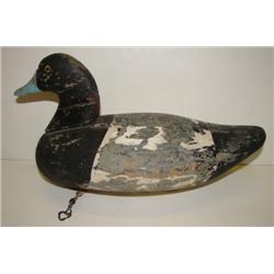 BLUEBILL DECOY