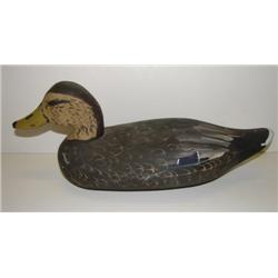 DELAWARE BLACK DUCK DECOY