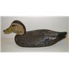 Image 1 : DELAWARE BLACK DUCK DECOY
