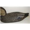 Image 2 : DELAWARE BLACK DUCK DECOY