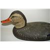 Image 2 : DELAWARE MALLARD HEN DECOY