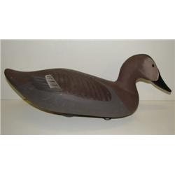 UPPER BAY, MARYLAND CANVASBACK HEN DECOY