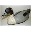 Image 2 : WILDFOWLER PINTAIL DRAKE DECOY