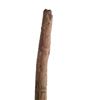 Image 2 : Django Django (Jamie Foxx) Lone Pine Movie Props