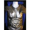 Image 2 : Immortals Theseus (Henry Cavill) Movie Costumes