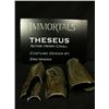Image 6 : Immortals Theseus (Henry Cavill) Movie Costumes