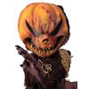 Image 2 : Hell Fest Hanging Pumpkin Head Movie Props
