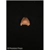 Image 5 : George C. Scott Prosthetic Nose  for Patton