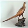 Image 1 : BRONZE PHEASANT 