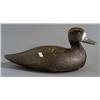 Image 1 : DUCK DECOY 15 