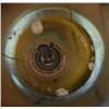 Image 2 : TIFFANY FAVRILE MINIATURE CABINET VASE,
