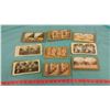 Image 1 : STEREO VIEW CARDS