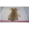 Image 4 : TWO RABBIT PELTS (BROWN)