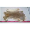 Image 5 : TWO RABBIT PELTS (BROWN)