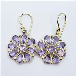Gold Plated Silver Amethyst(9ct) Earrings, Suggested Retail Value $200 (Estimated Selling Price from