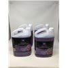 Image 1 : Lot of Premium Winshield Wash- All Season (4 x 3.78L)