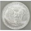 Image 2 : 2006 AMERICAN SILVER EAGLE