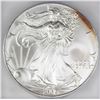 Image 1 : 2005 AMERICAN SILVER EAGLE