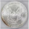 Image 2 : 2005 AMERICAN SILVER EAGLE
