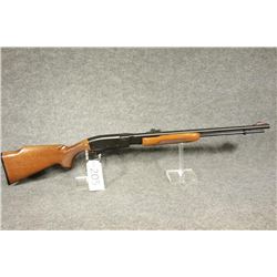 Remington 22 Pump