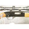 Image 3 : Winchester 22 Plinker