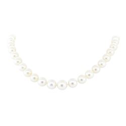 South Sea Pearl Necklace - 14KT White Gold