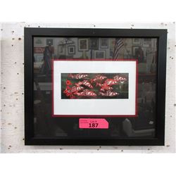 Richard Shorty Framed Print - Follow Me