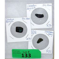 Three Canadian Ammolite Gemstones