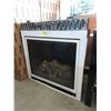 Image 1 : Large Gas Fireplace Insert 17" x 42" x 42"