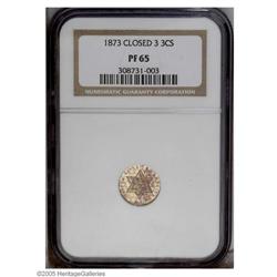 1873 3CS PR65 NGC. Mottled golden-brown and lavender p 1873[3CS] PR65 NGC.