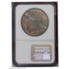 Image 2 : 1869 S$1 PR62 ANACS. A rich layer of mottled toning co 1869[S$1] PR62 NGC.