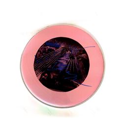 Signed Steely Dan - Pink Drumhead