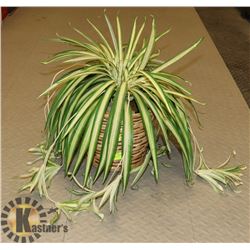 ARTIFICIAL PLANT.