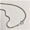 Image 3 : SILVER CHAIN