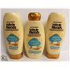 Image 1 : 2 BOTTLES OF GARNIER WHOLE BLENDS CONDITIONER &