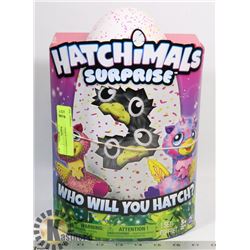 HATCHIMALS SURPRISE.